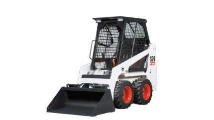 Bobcat